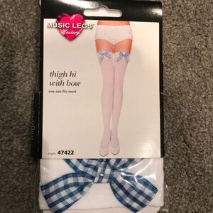COPY - Dorthy costume thigh highs BNWT